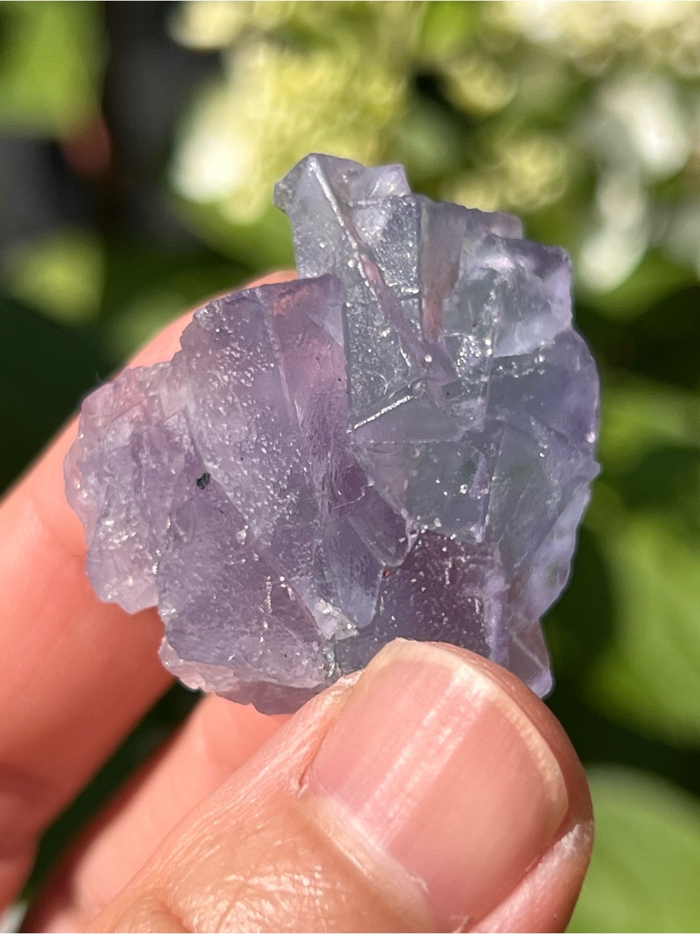 Fluorite (6) specimen with stand Crystal